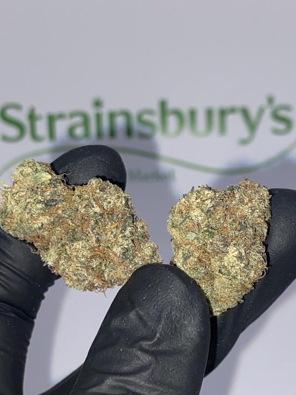 SUNSET RUNTZ - CALI MIDS