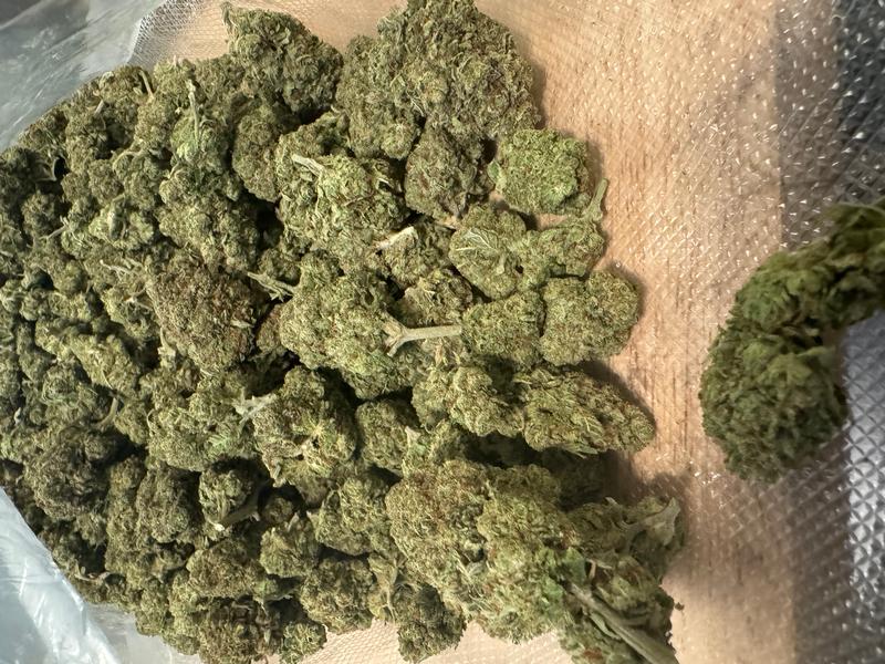 Exclusive Gas candy
