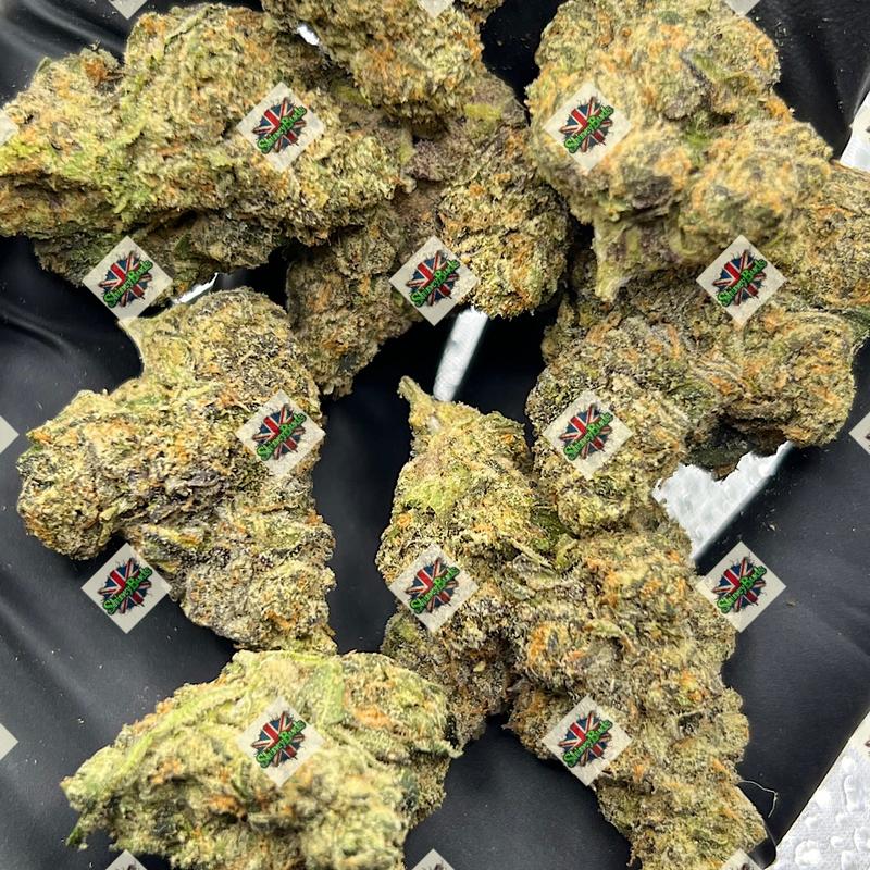 🇺🇸 Area 41 CONNECTED CANNABIS
