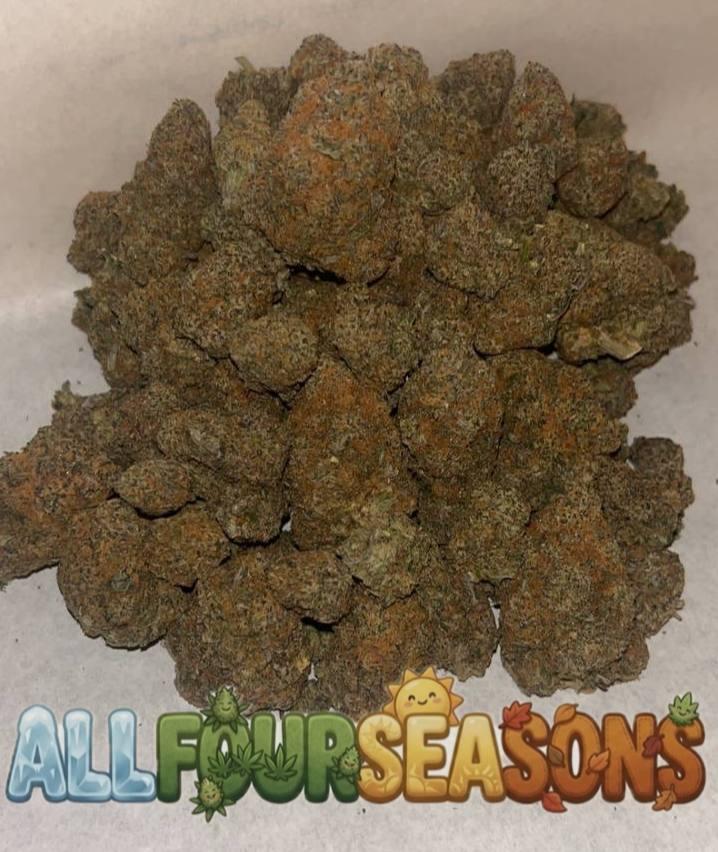 Cali 🇺🇸 (Exotics)