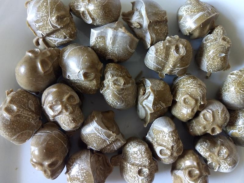 Liberty Caps - Psilocybe Semilanceata