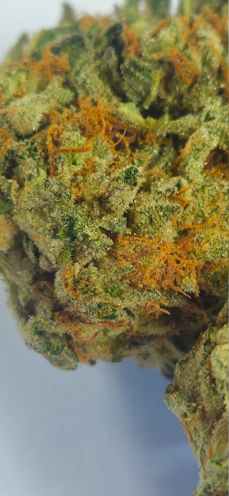 Stardawg