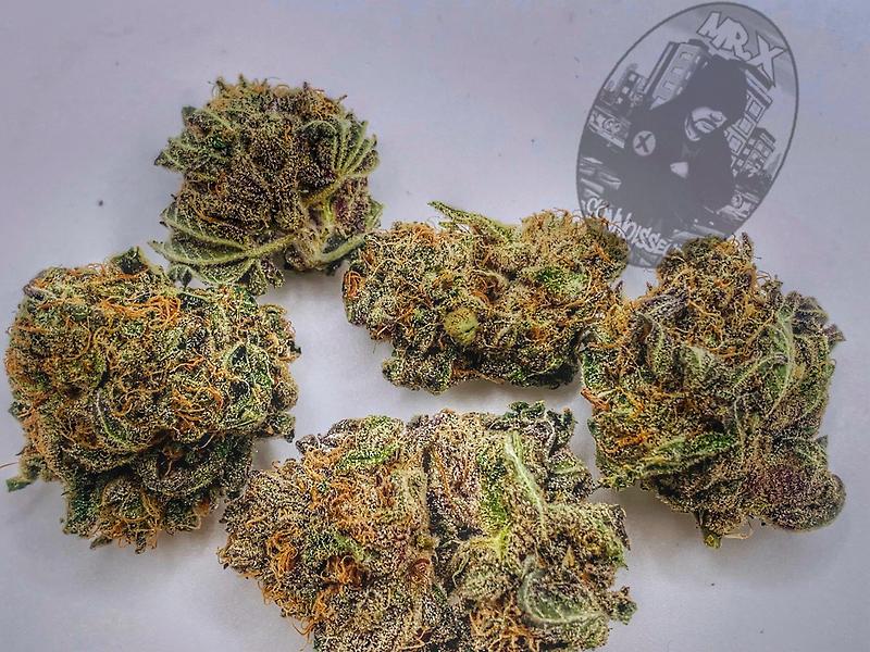 ***GRAPEFRUIT ZKITTLEZ***