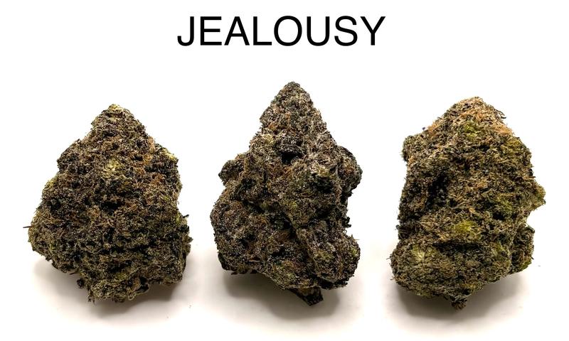 JEALOUSY