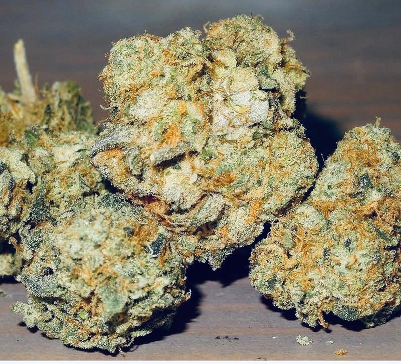 TROPICAL CHERRY 🌴 🍒