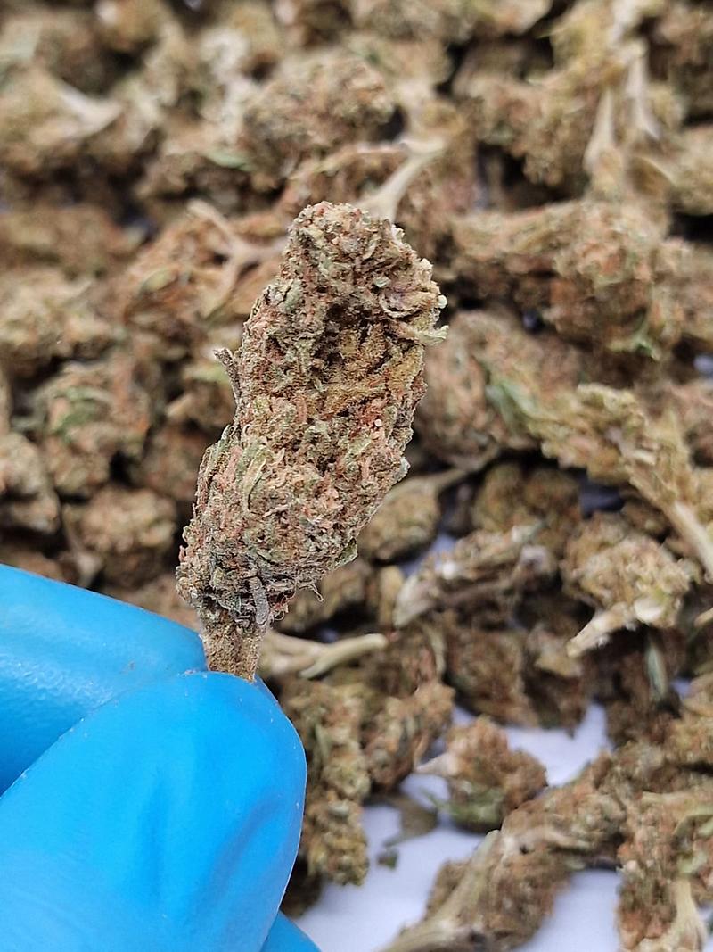 Platinum Kush - Bone Dry Pure Jamaican Sensi