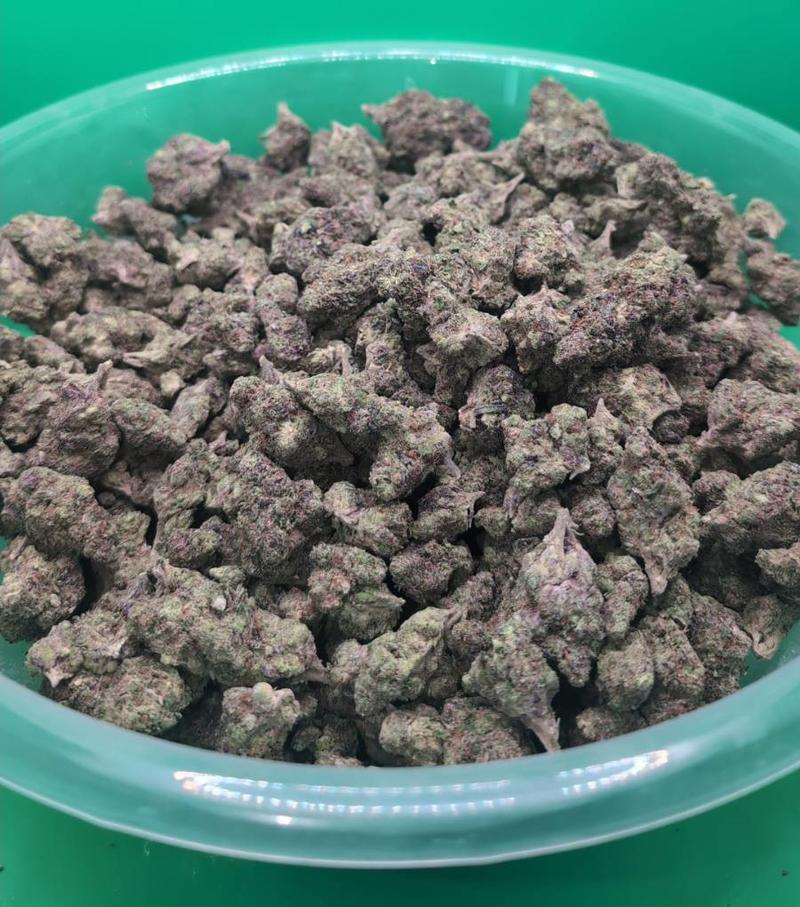 RAMBO EXOTICS - 10/10 BUD 🔥🔥🔥