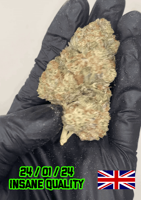 ✰ 11/10 CHEMDAWG ✰