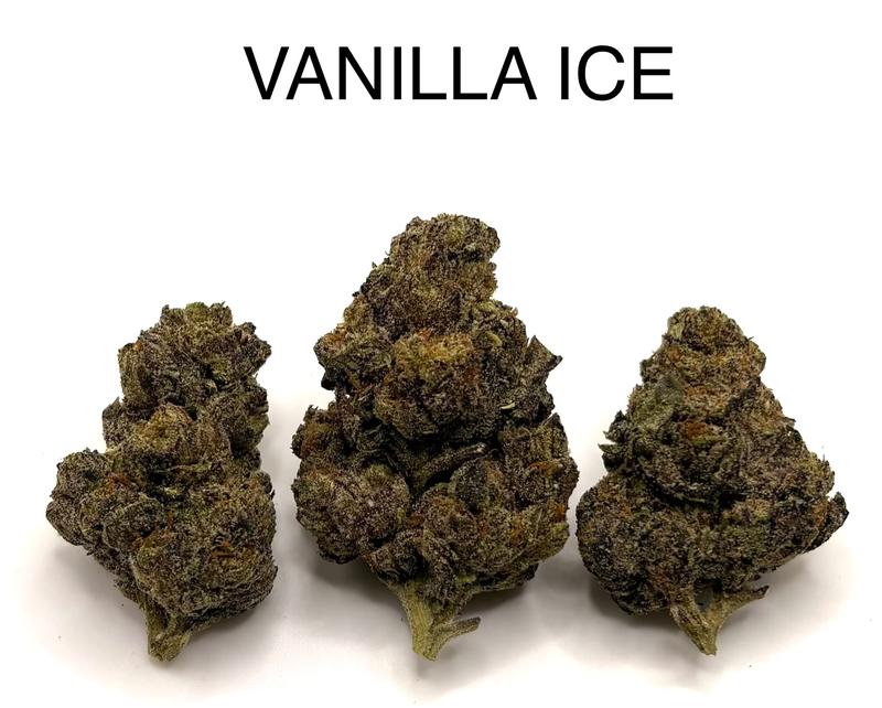 VANILLA ICE