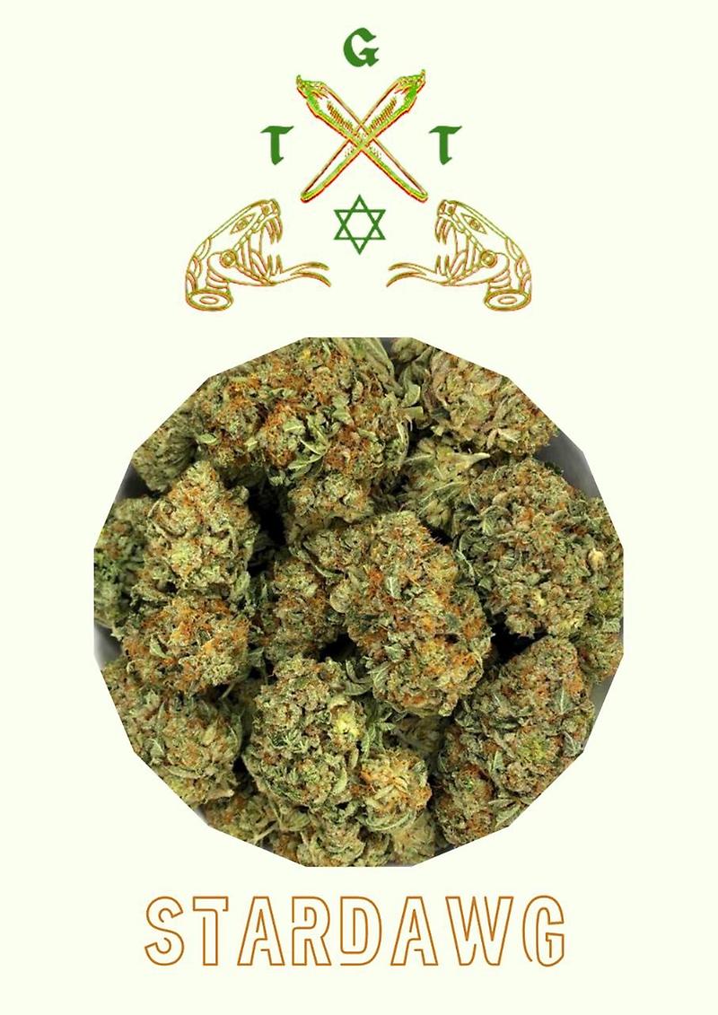 STARDAWG *FREE SHIPPING*