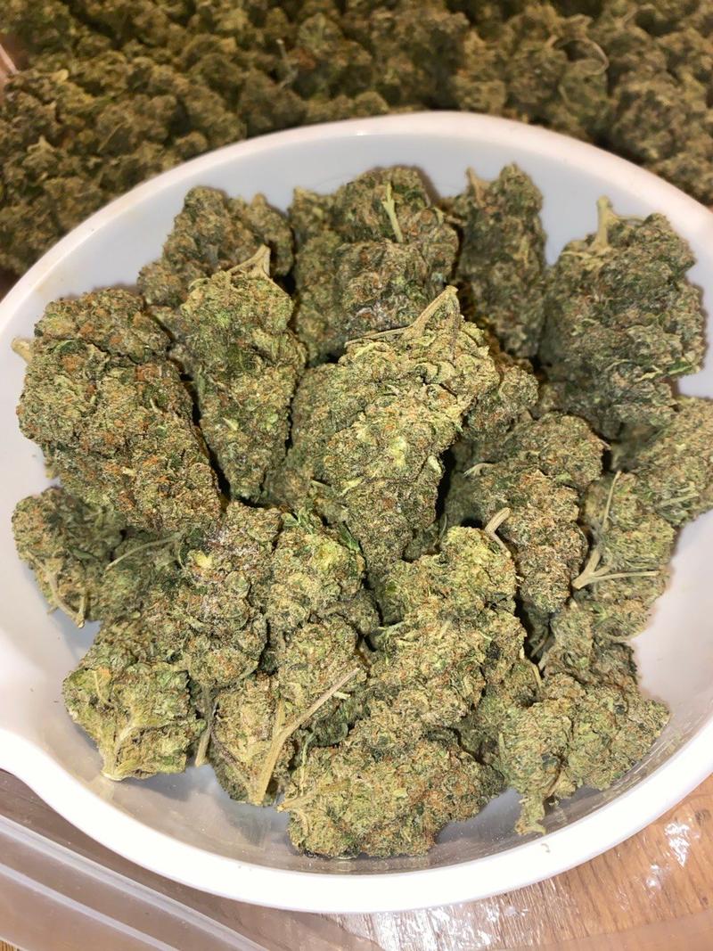 Britscotti 🇬🇧⛽️⛽️⛽️💨