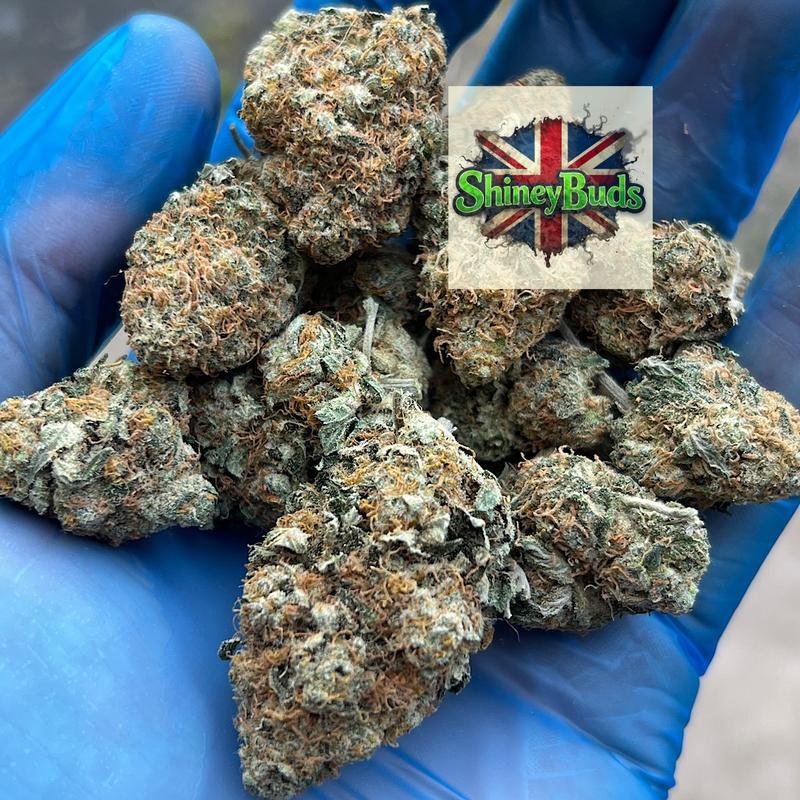 🇬🇧 Cookie Dawg