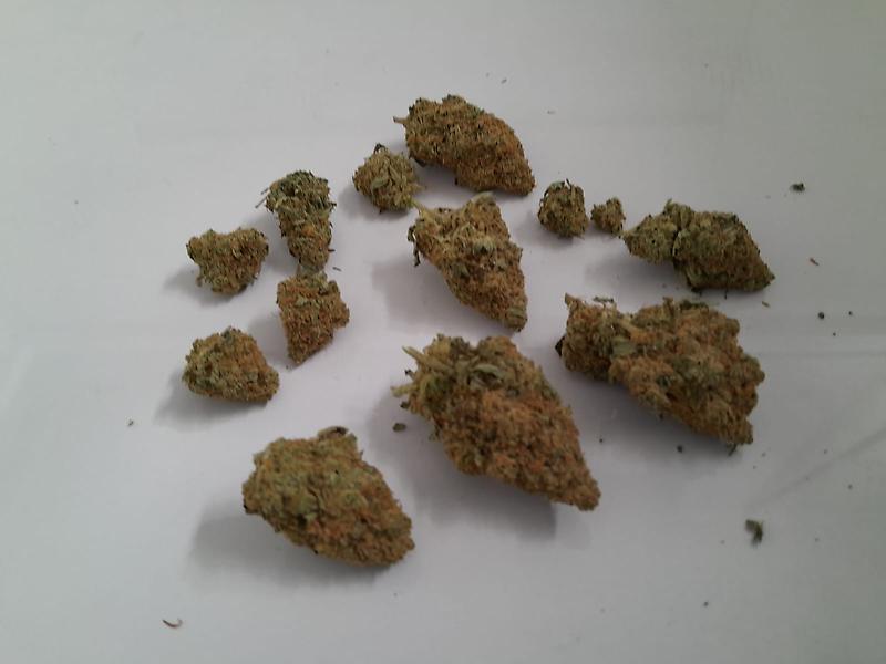 G-13 Haze