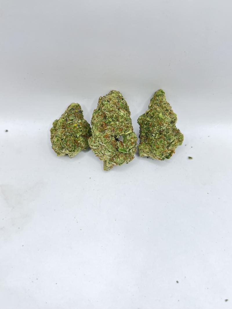 DEAL OF THE WEEK