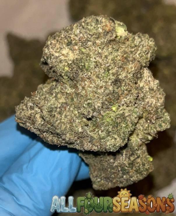 CALI WEED (TOP SHELF)