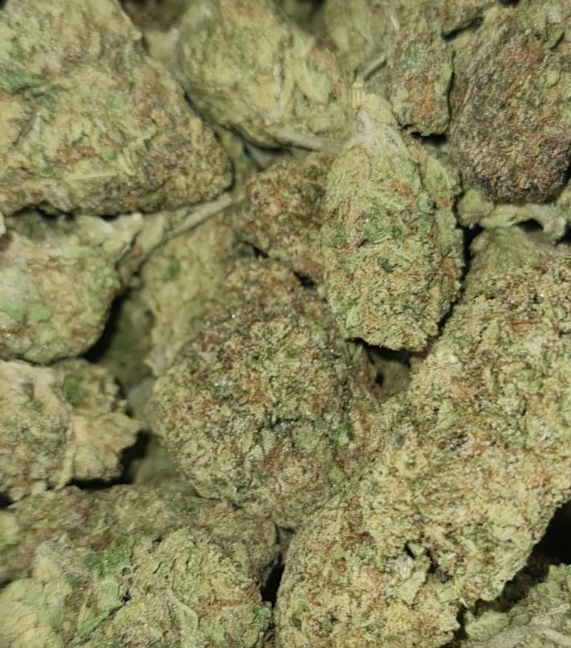 CANDY CAKE - INDICA - MIX & MATCH AVAILABLE