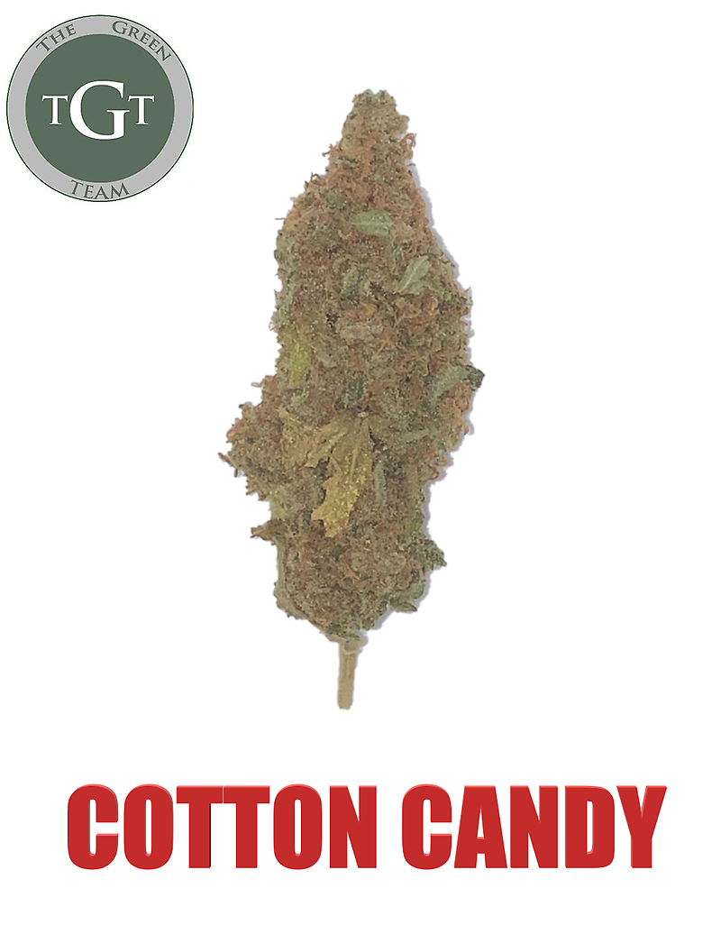 COTTON CANDY *PREMIUM*