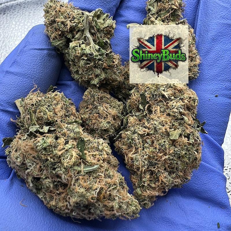 🇬🇧 Skywalker OG