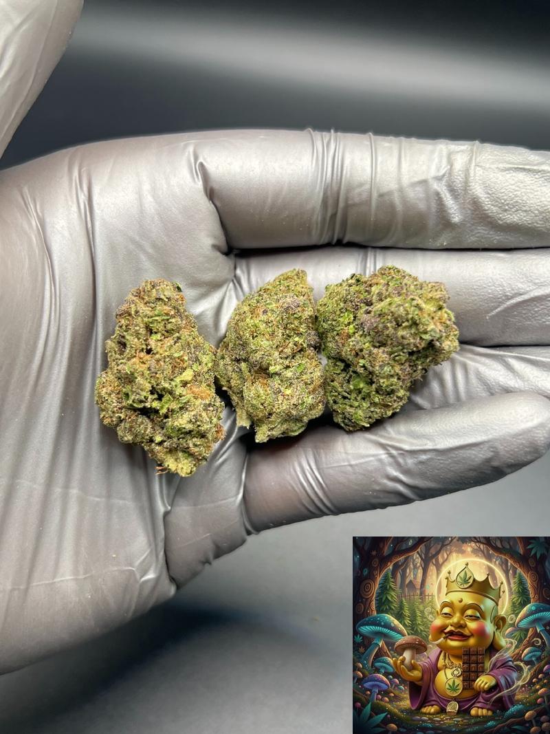 DAILY DOSE