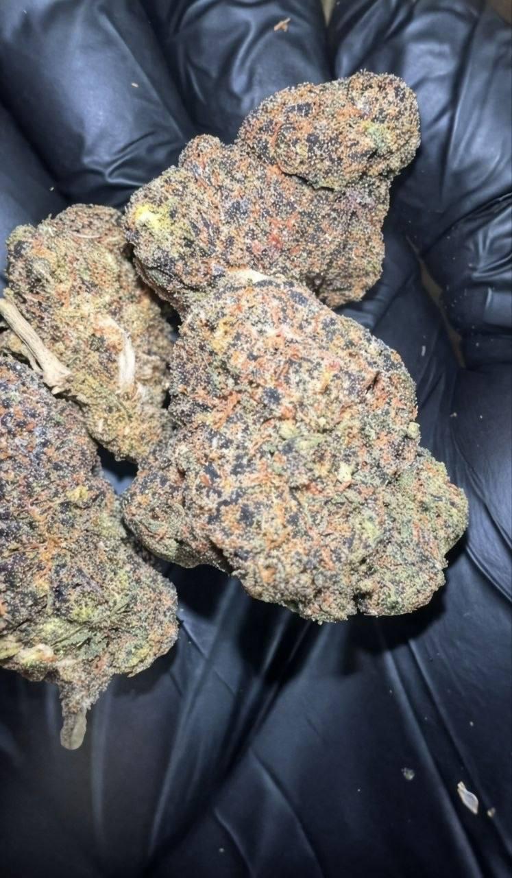 White Runtz(Gelato X Zkittles)