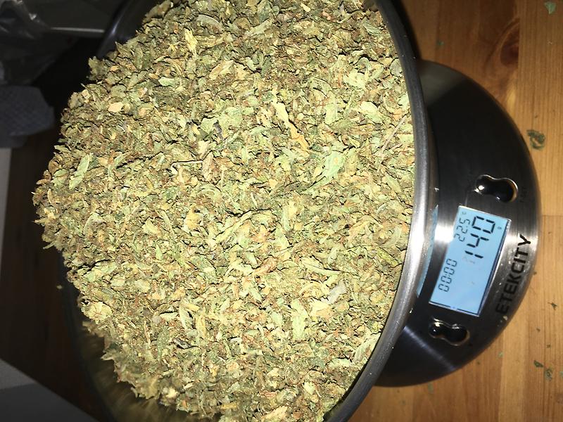 OH MY GOODNESS SHAKE - 5G TO 100G HIGHEST QUALITY