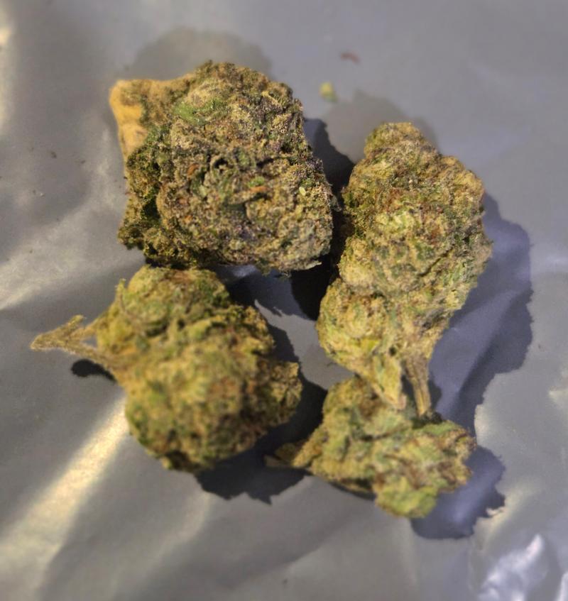 Bubblegum Gelato