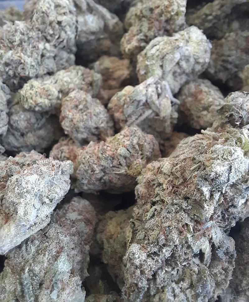 TIJUANA - SATIVA - 20% THC