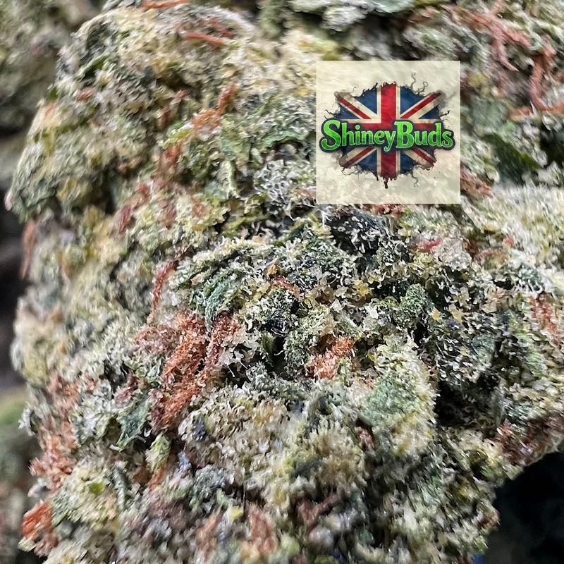 🇺🇸 Lemon Cherry Runtz (Mids)