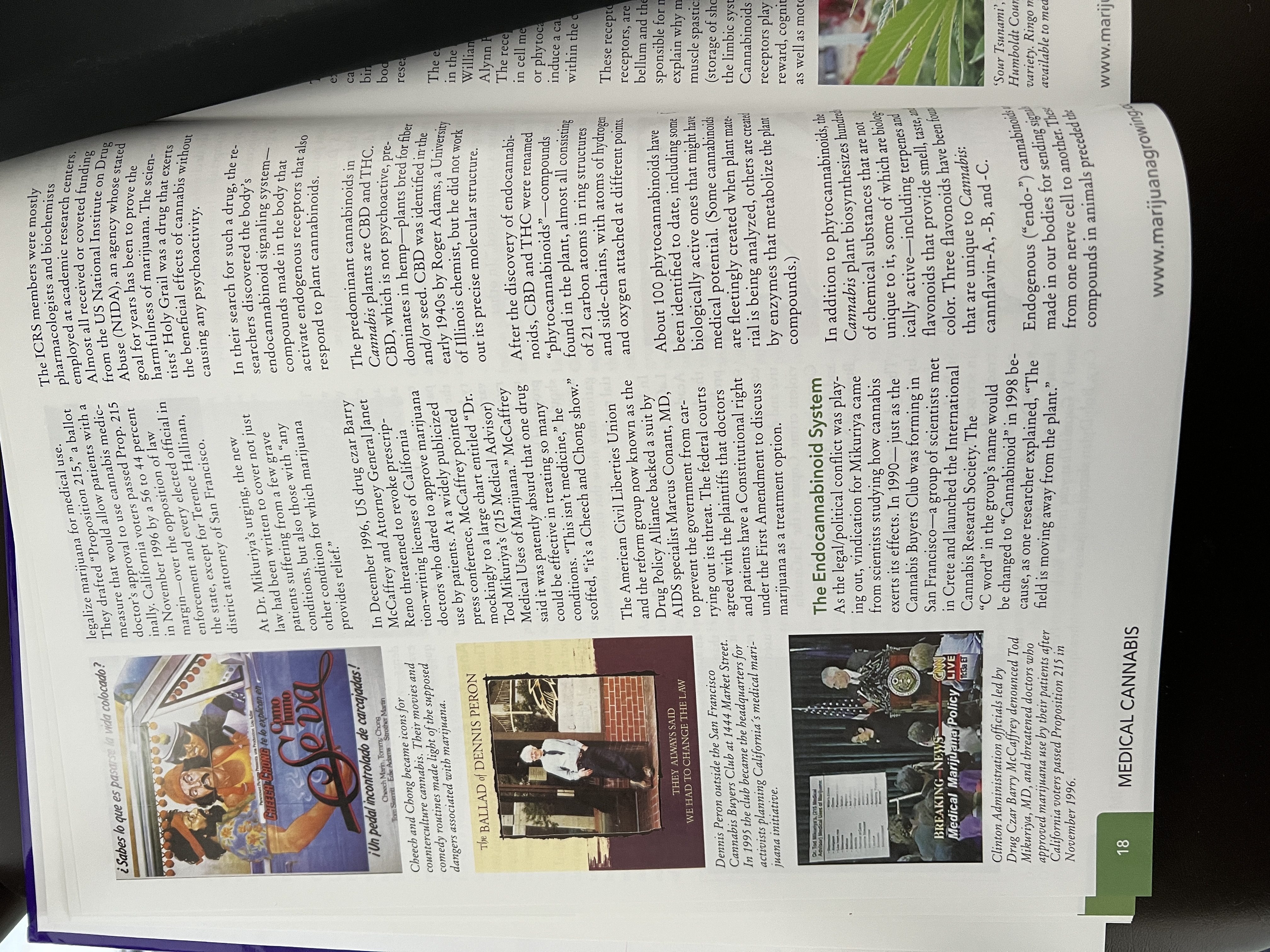 The Cannabis Encyclopaedia by J.C