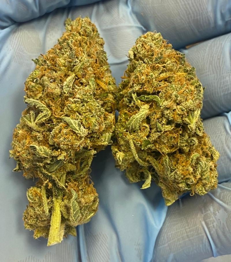 Mimosa Lovely UK Grown Properly Cured and Flushed