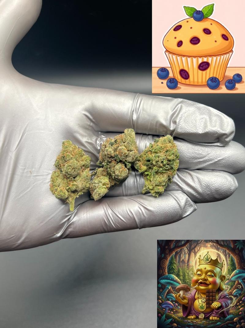 RUNTZ MUFFIN (SMALL)