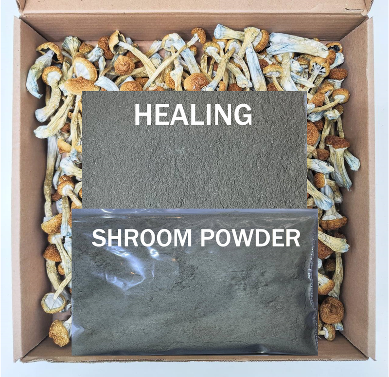 Shroom Powder *Free Shipping*
