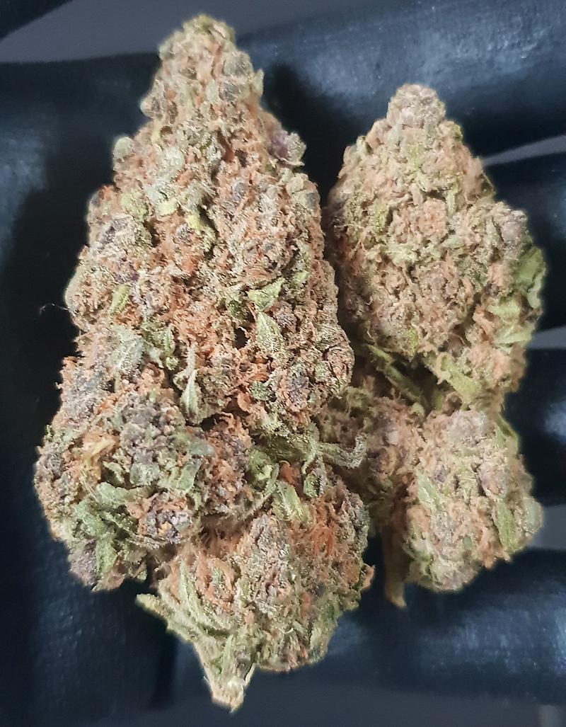 **FLORIDA ORANGE - (FREE RM 1ST CLASS POST)**