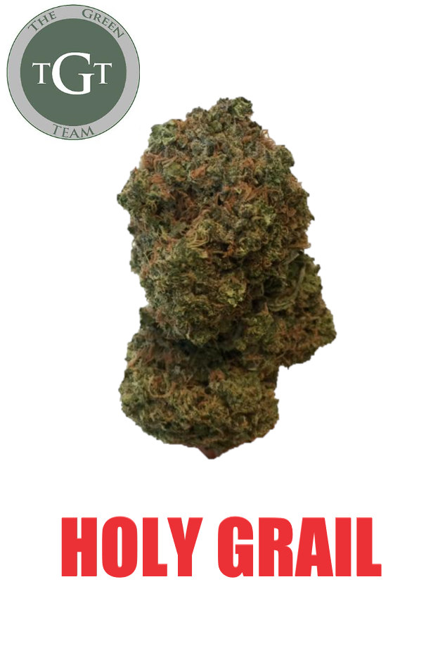 HOLY GRAIL *EXCLUISVE*