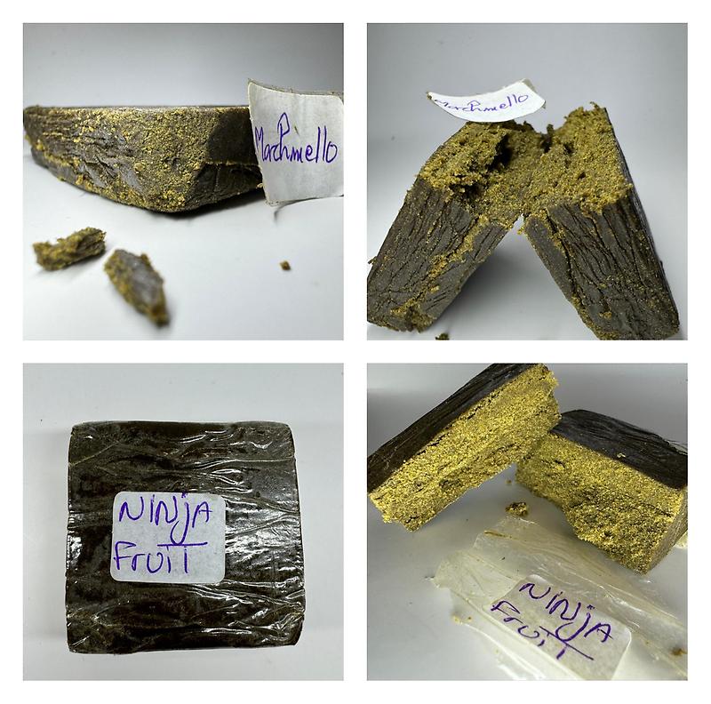 Terpscompany 3X Gourmet Hashes