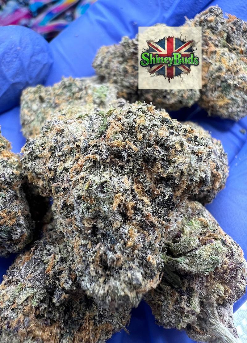🇺🇸 Zoap LIFE IS NOT GRAPE
