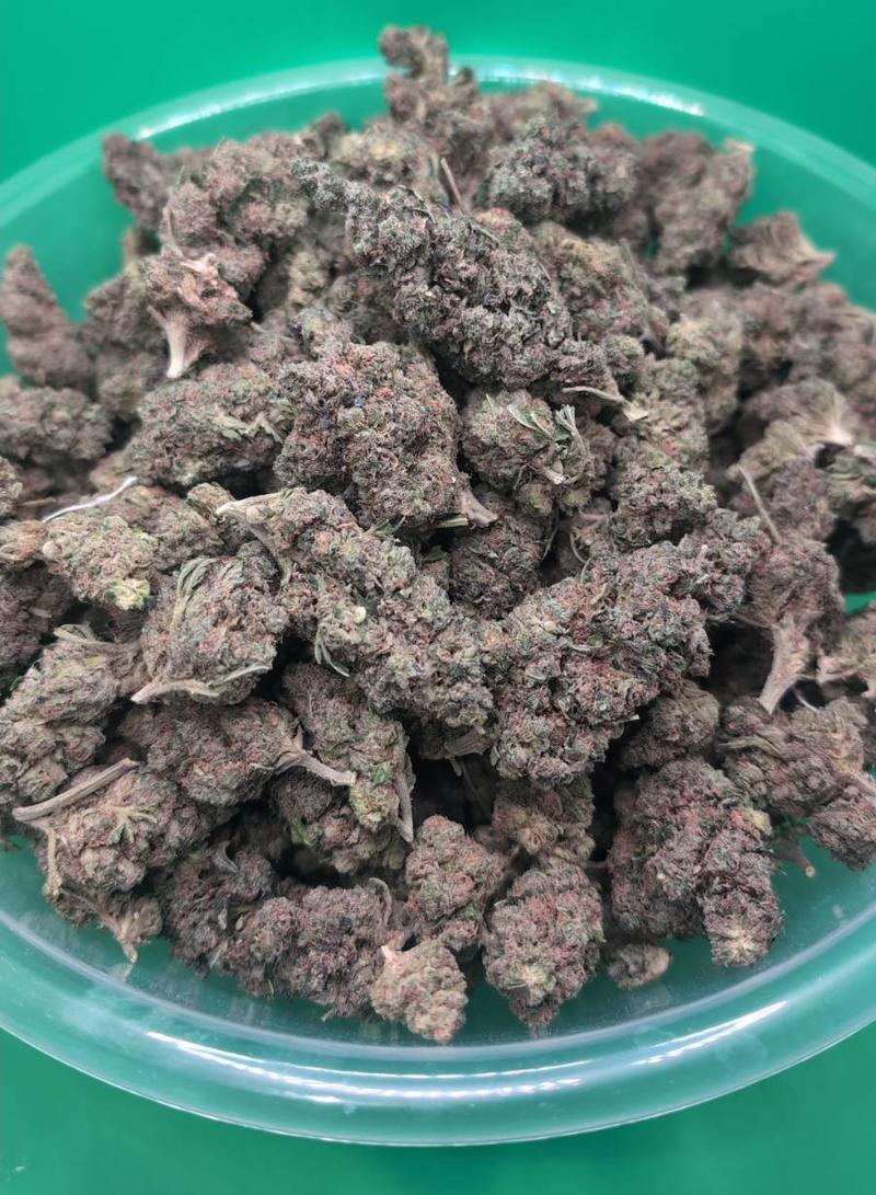 RAMBO PREMIUM BUD 🔥🔥