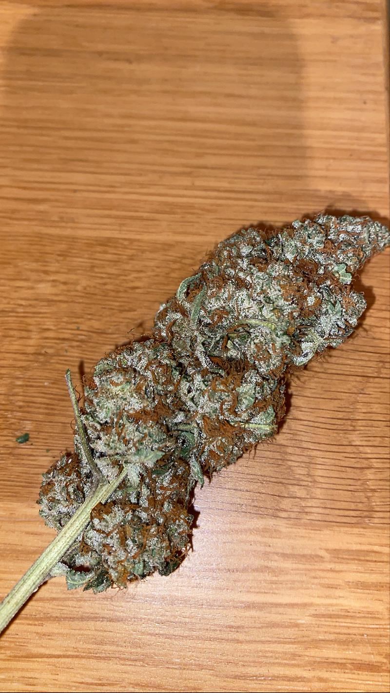 Guava