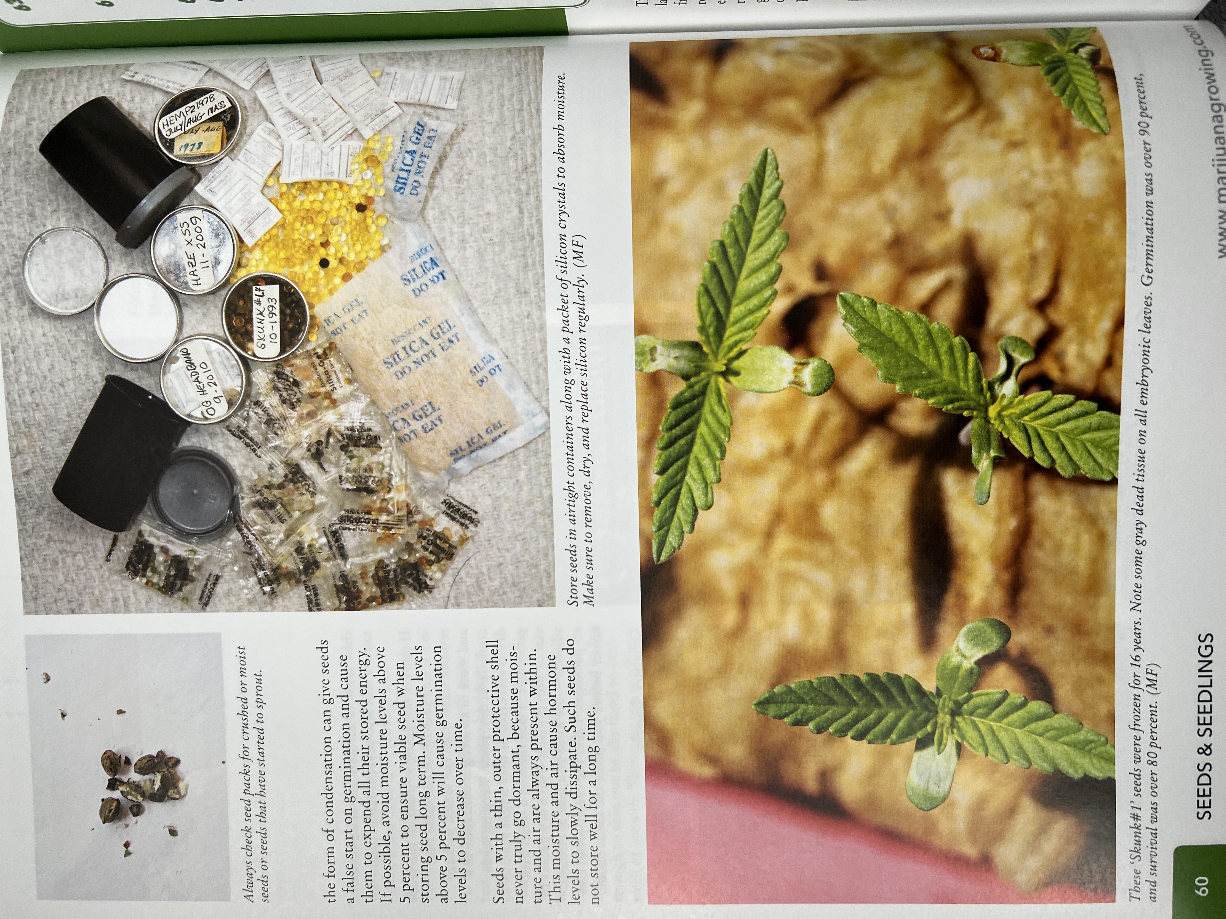 The Cannabis Encyclopaedia by J.C