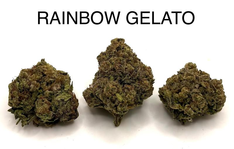 RAINBOW GELATO