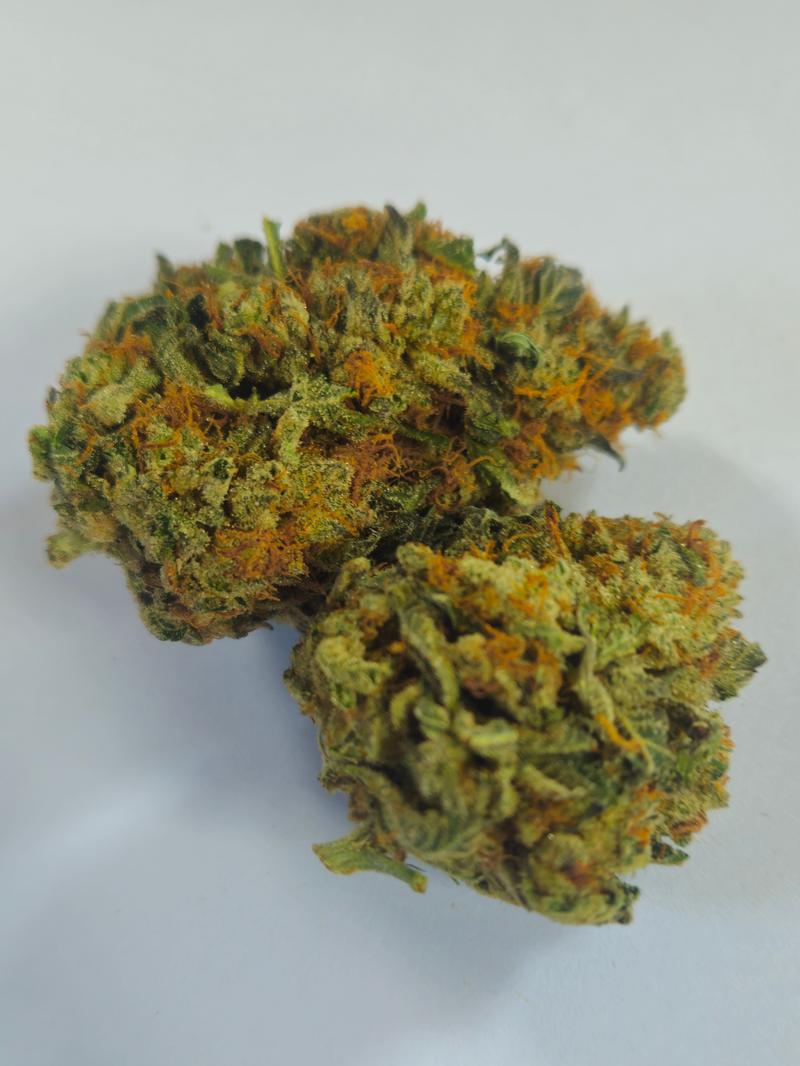 Stardawg