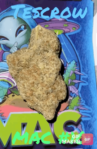 Top Shelf Cali Bud by The TenCo