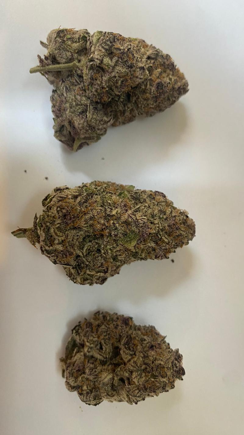 Dispensary Sealed Backdoor Cali Packs