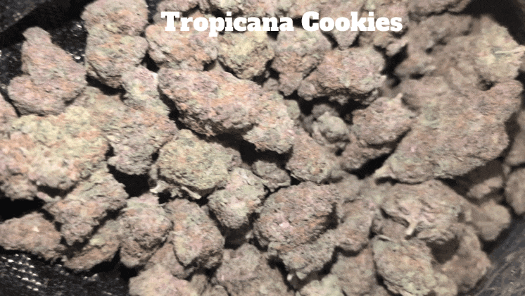 Top Shelf Exotics - Imported Loose Flower