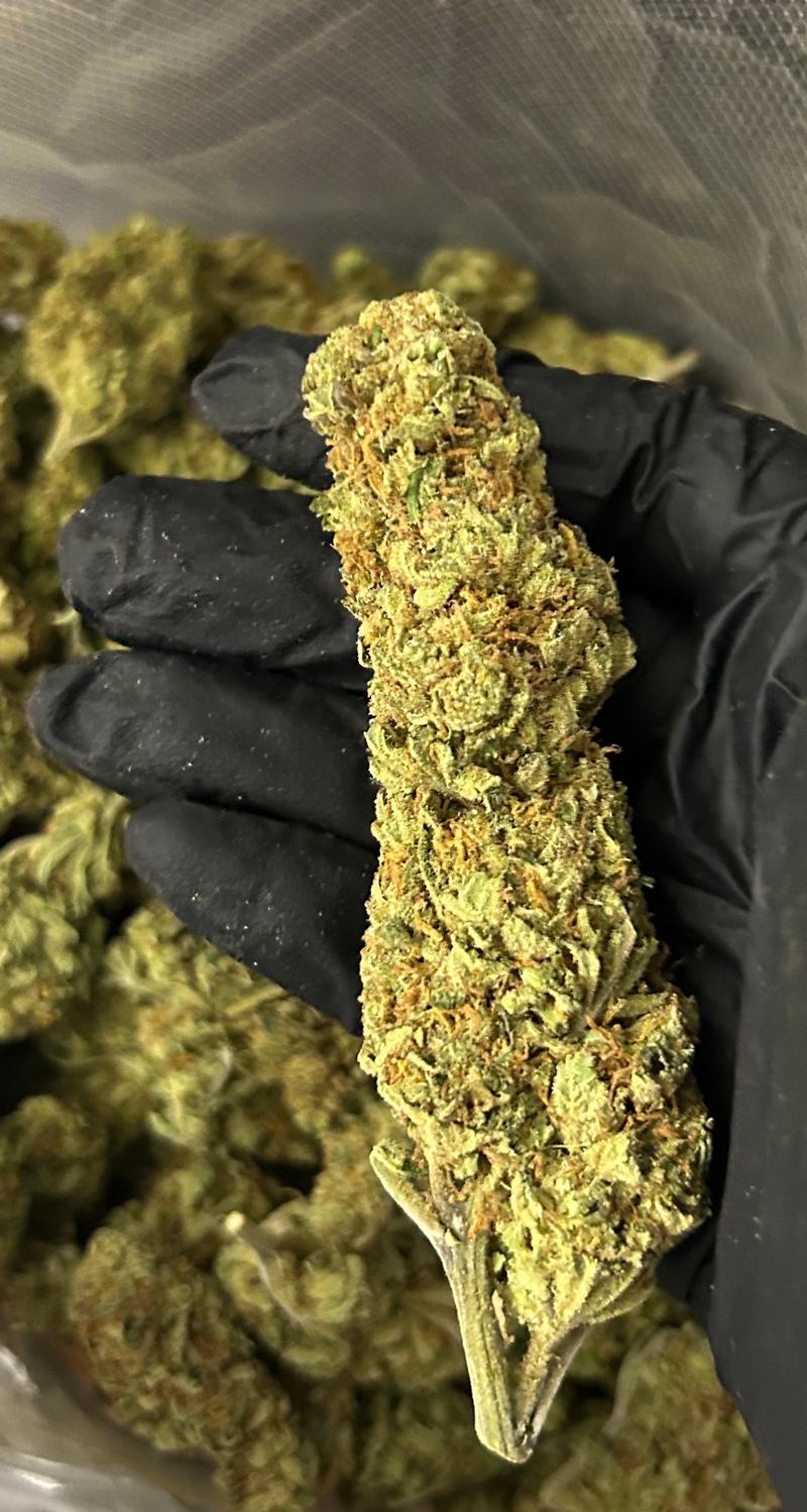Super Silver Haze