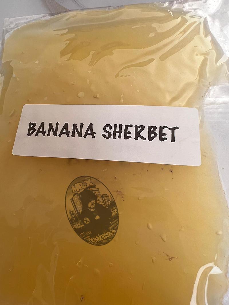 CALI IMPORT - SHATTER