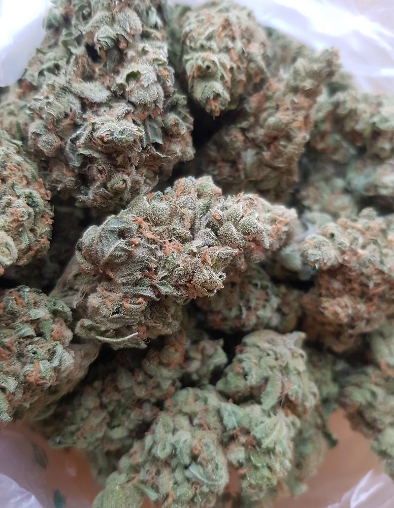 **AMNESIA LEMON**