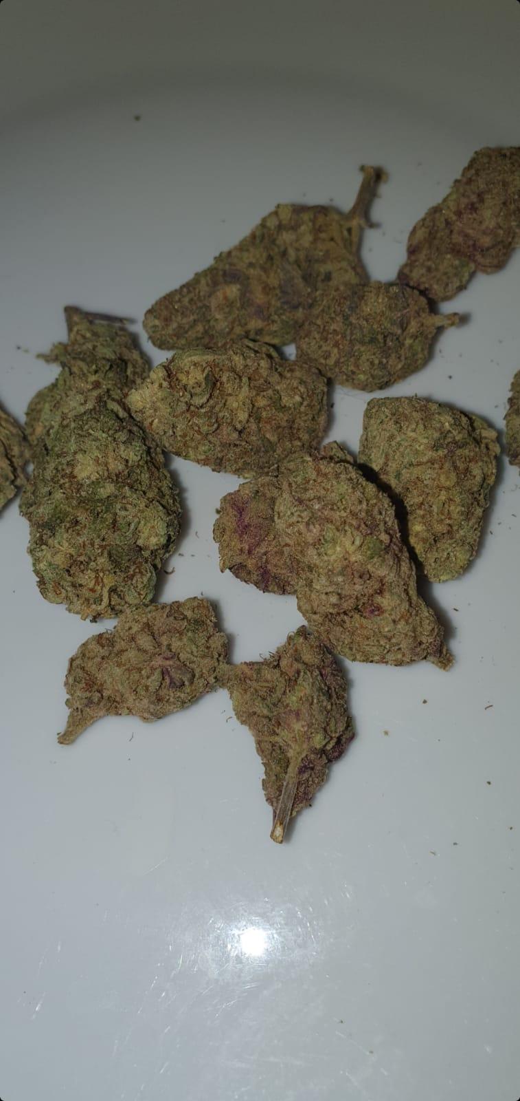 Mac 1 X (Mac 1x bannan of)