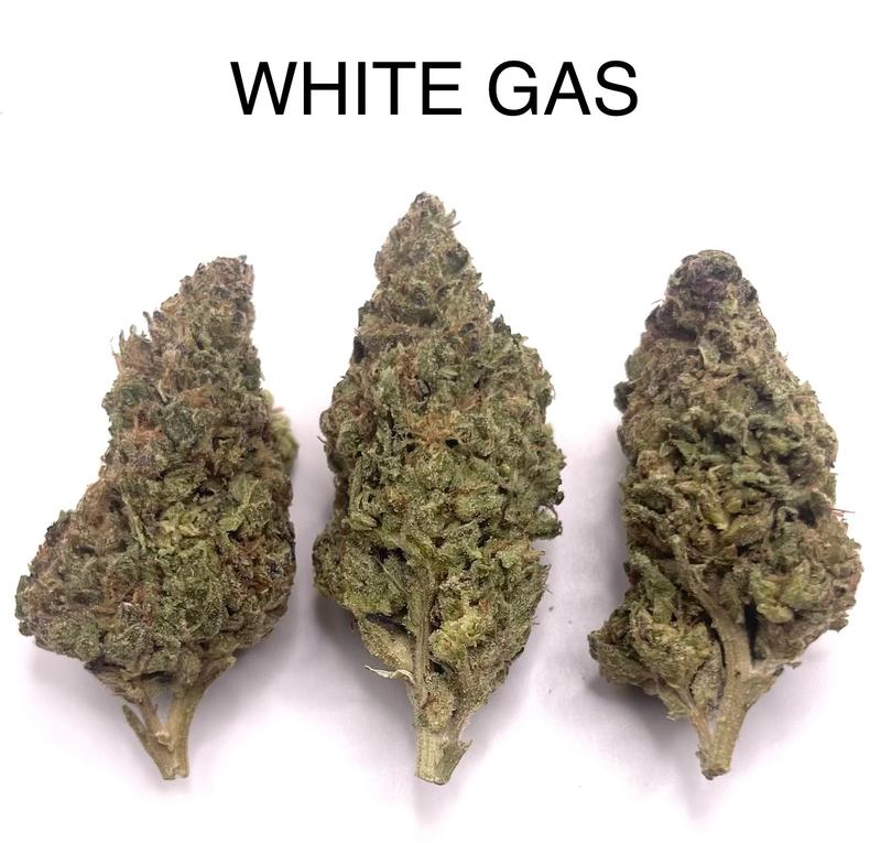 WHITE GAS