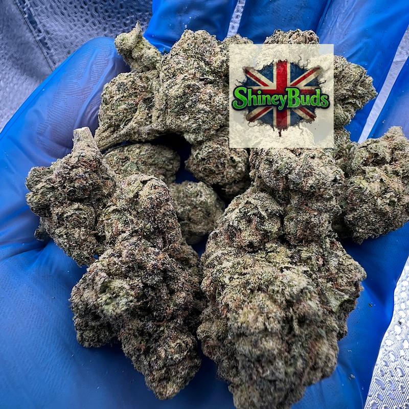 🇺🇸 Triple Crown (Mids)